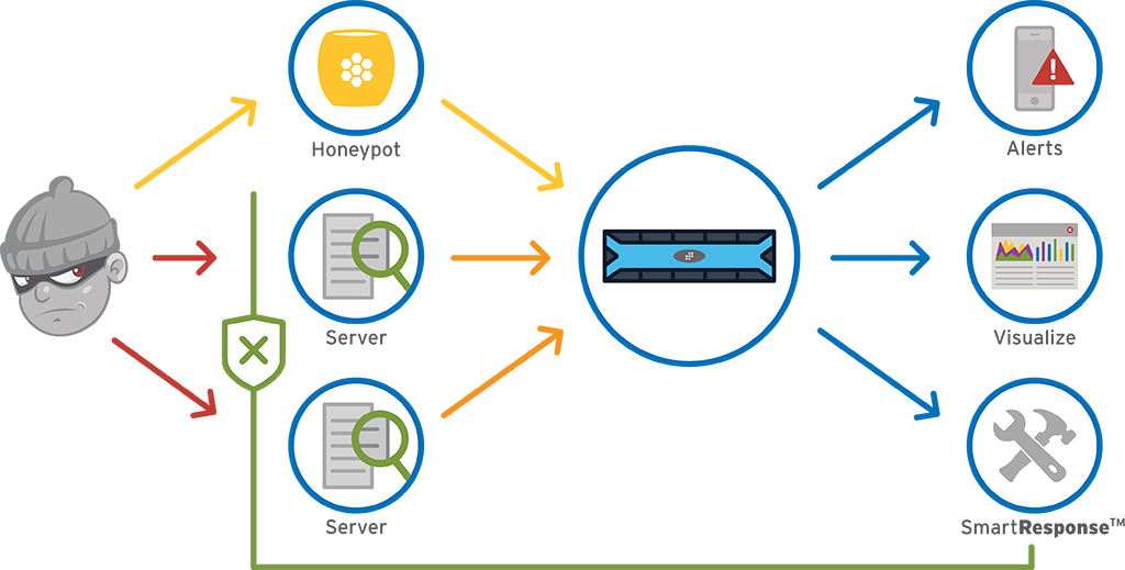 Honeypot Diagram